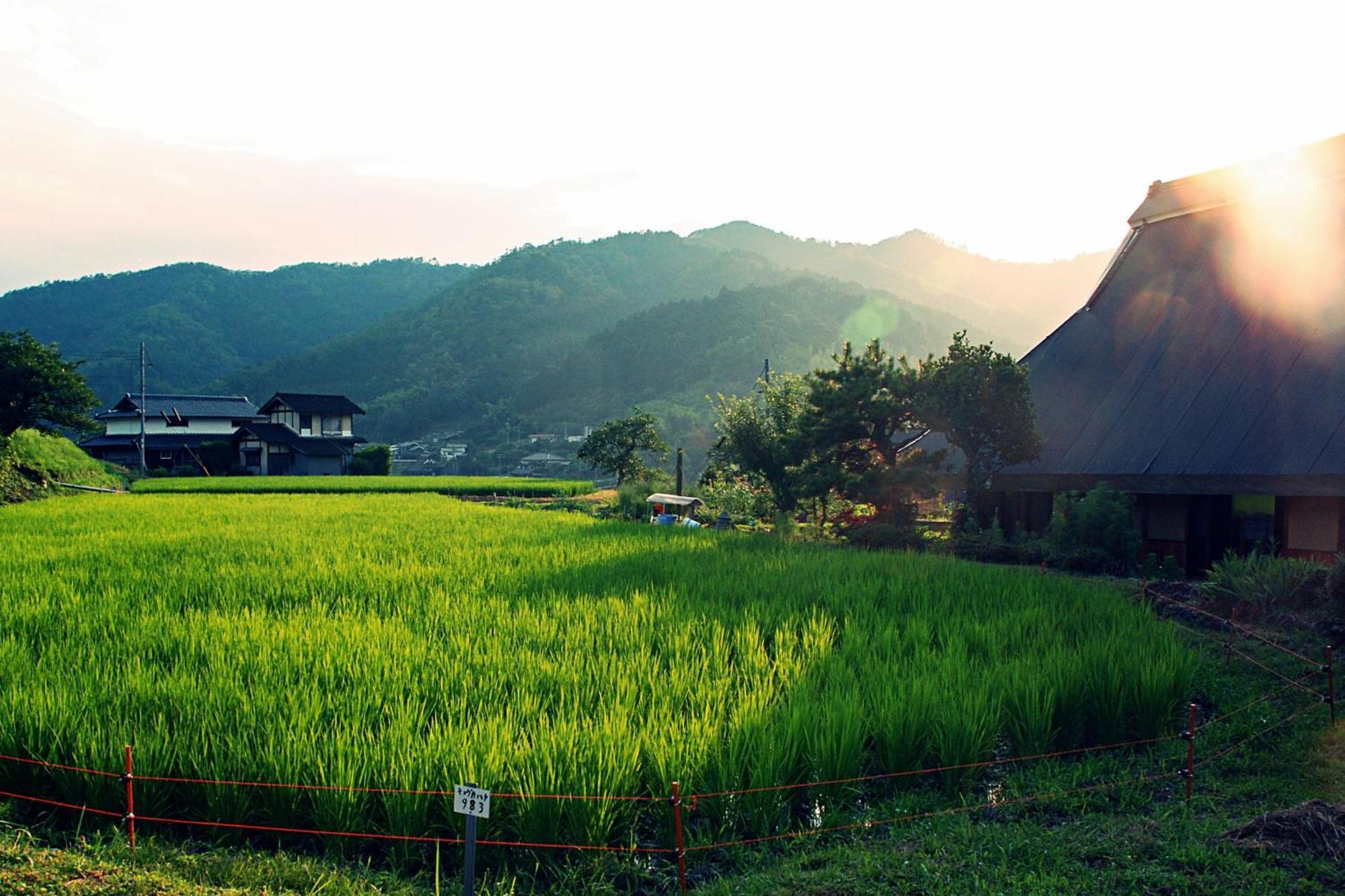 古民家の宿 ふるま家 Furumaya House Gastronomic Farmstay In Deep Kyoto Fukuchiyama Ngoại thất bức ảnh